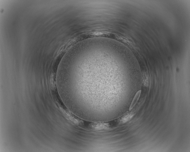 X0000068900670200605122101