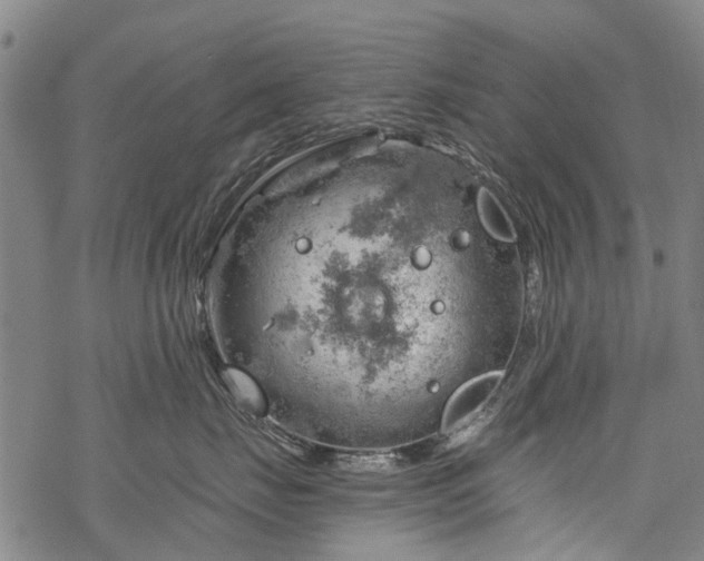 X0000068900671200605122101