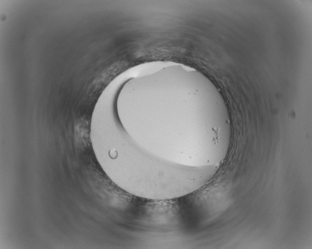 X0000068900672200605122101