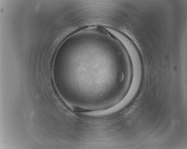 X0000068900673200605122100