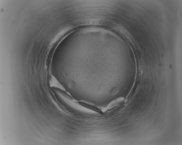 X0000068900674200605122100