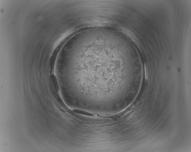 X0000068900675200605122100