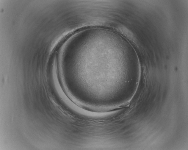 X0000068900676200605122100