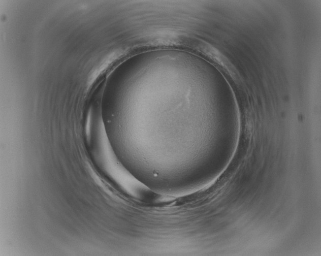 X0000068900677200605122100