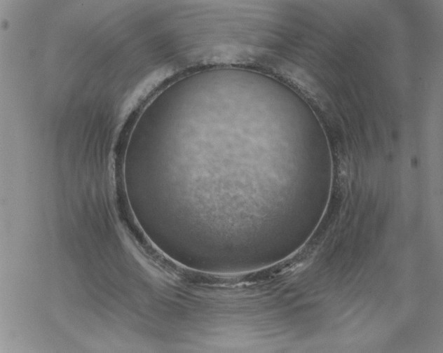 X0000068900678200605122100