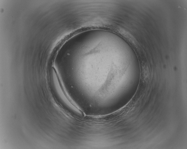 X0000068900680200605122100