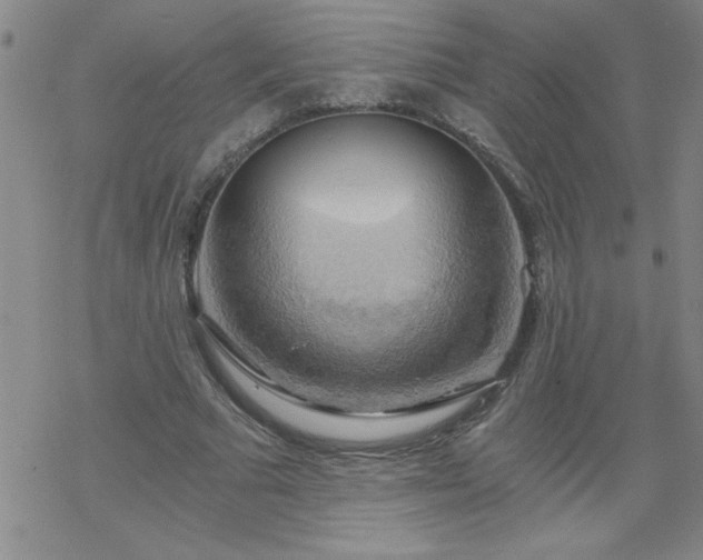 X0000068900681200605122100