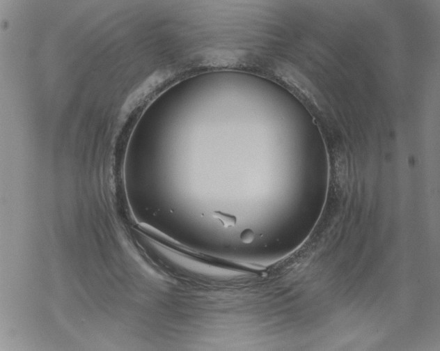 X0000068900682200605122100