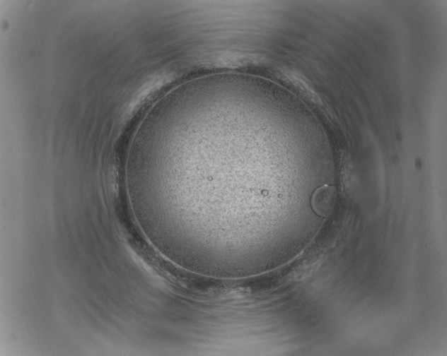 X0000068900683200605122100