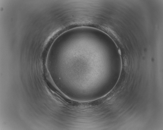 X0000068900684200605122100