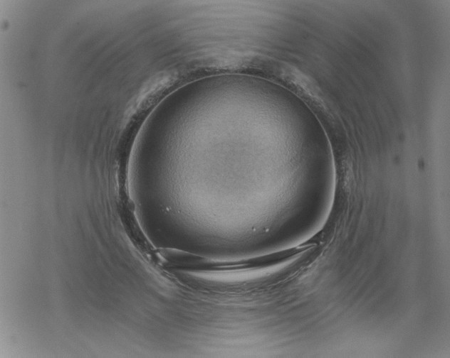 X0000068900685200605122100