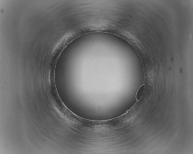 X0000068900686200605122100