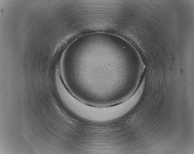 X0000068900688200605122100