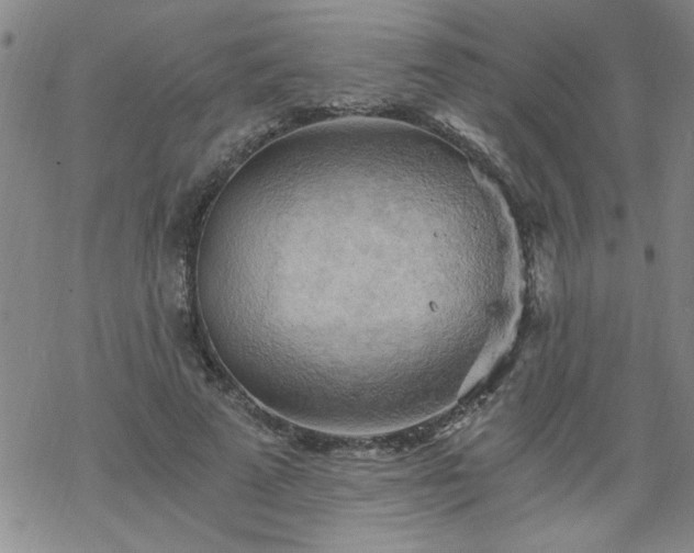 X0000068900689200605122100