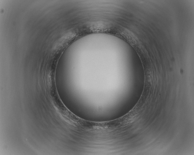 X0000068900690200605122100