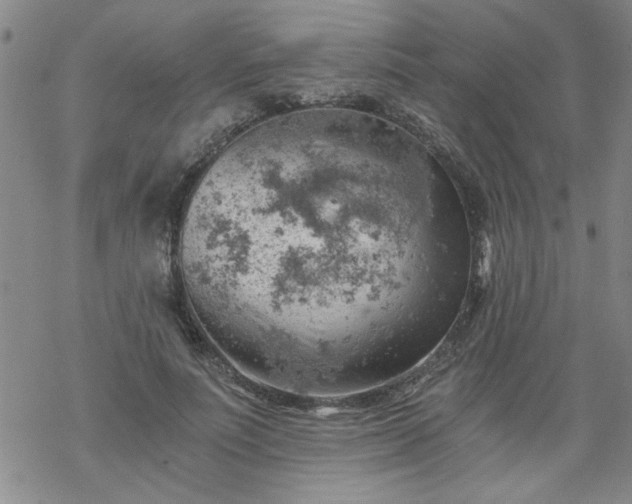 X0000068900691200605122100