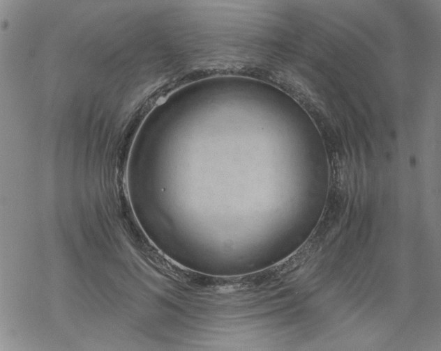 X0000068900692200605122100