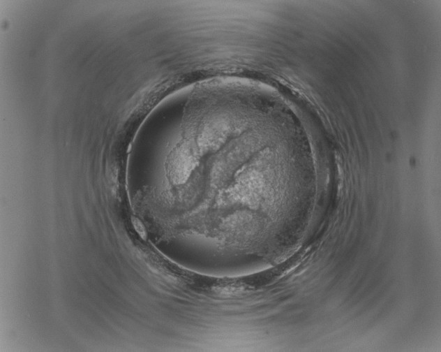 X0000068900693200605122100