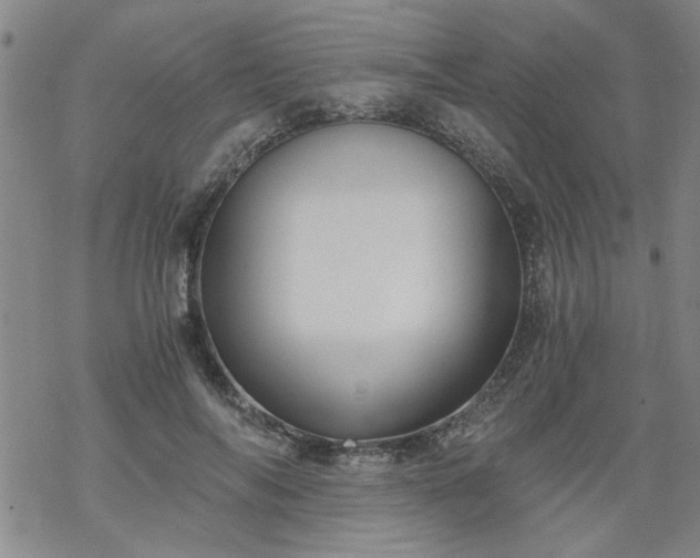 X0000068900694200605122100