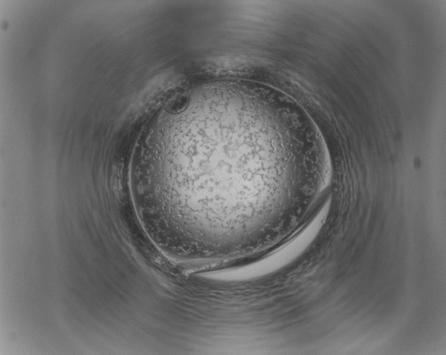 X0000068900695200605122100