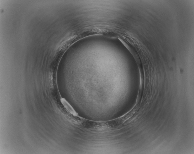 X0000068900696200605122100