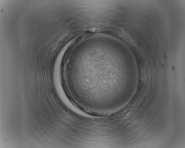 X0000068900697200605122100