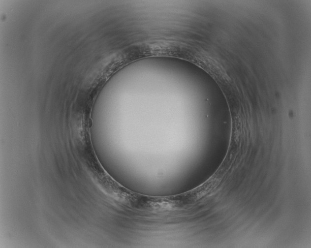 X0000068900698200605122100