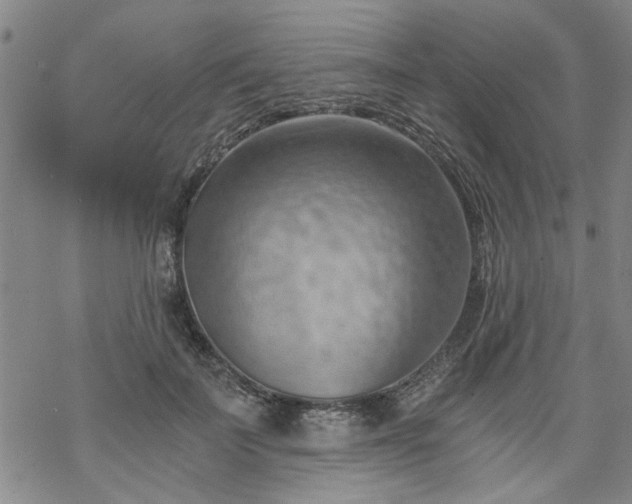 X0000068900699200605122100