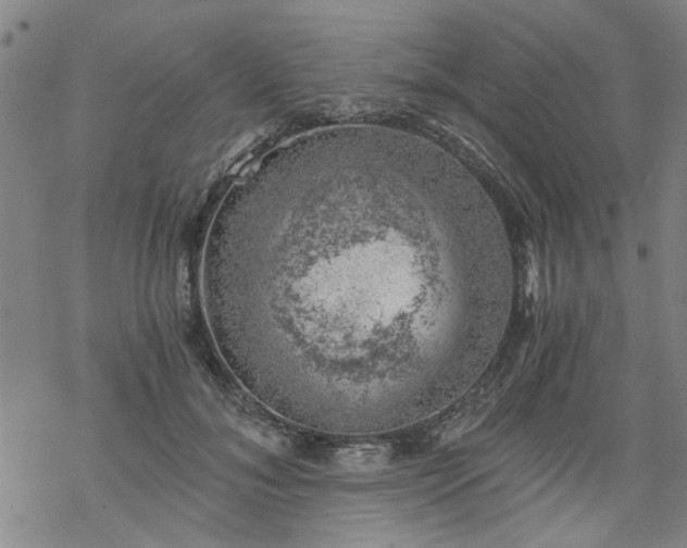 X0000068900700200605122100