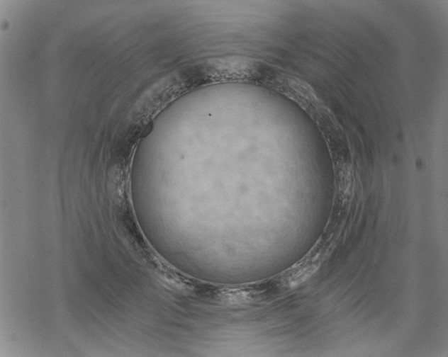 X0000068900701200605122100