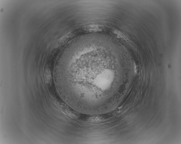 X0000068900704200605122100