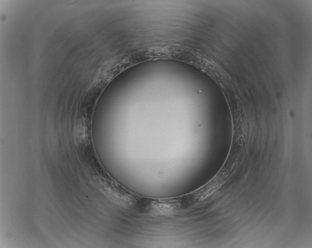 X0000068900706200605122100