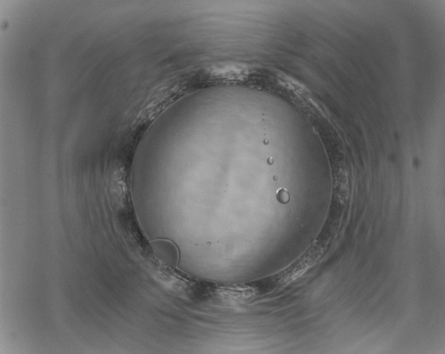 X0000068900707200605122100