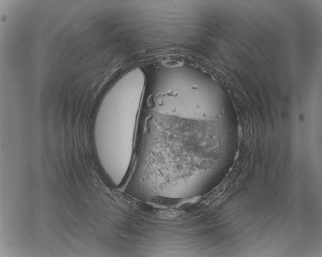 X0000068900708200605122100