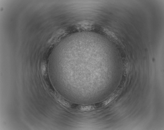 X0000068900709200605122100