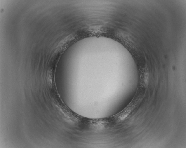 X0000068900710200605122100