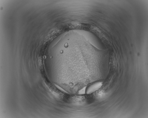 X0000068900711200605122100