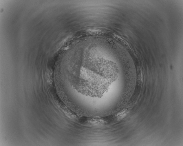 X0000068900712200605122100