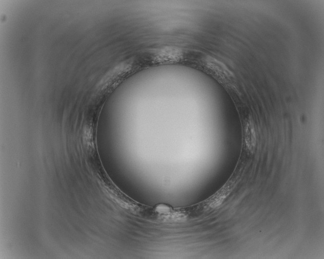 X0000068900714200605122100