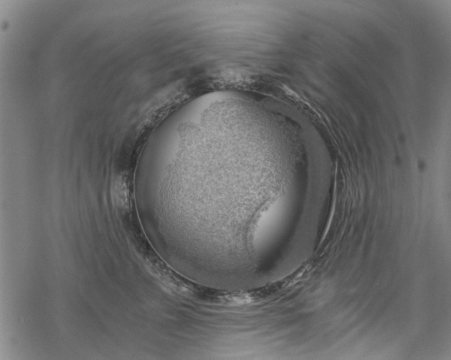 X0000068900715200605122100