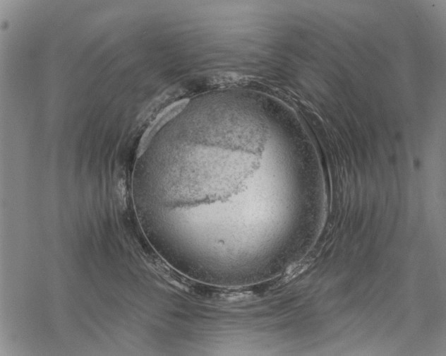 X0000068900716200605122100