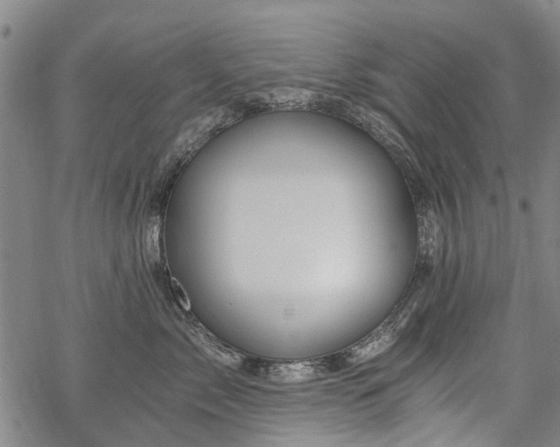 X0000068900717200605122100