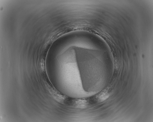 X0000068900718200605122100