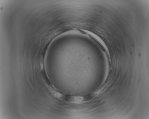 X0000068900719200605122100