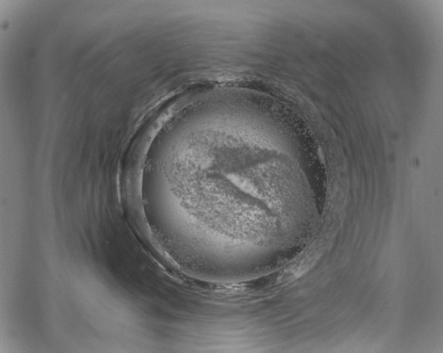 X0000068900720200605122100