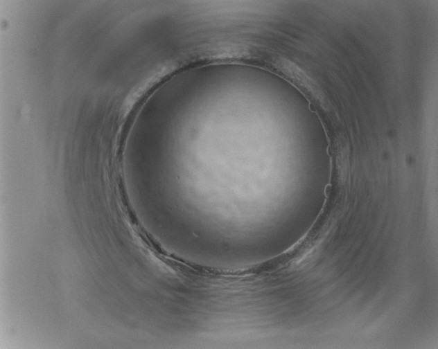 X0000068900721200605122059