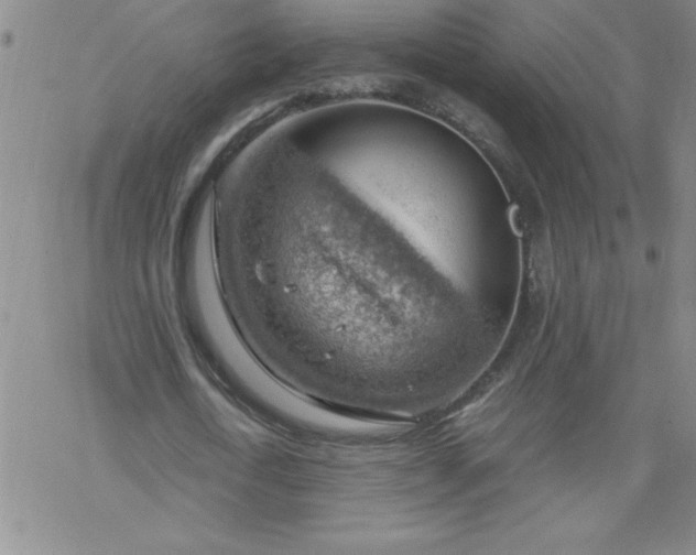 X0000068900722200605122059