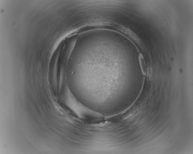 X0000068900724200605122059