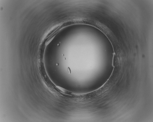 X0000068900728200605122059