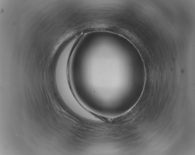 X0000068900731200605122059